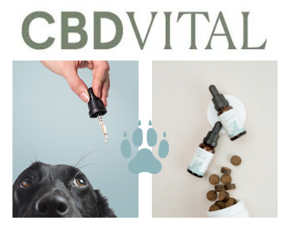 CBD Vital Logo